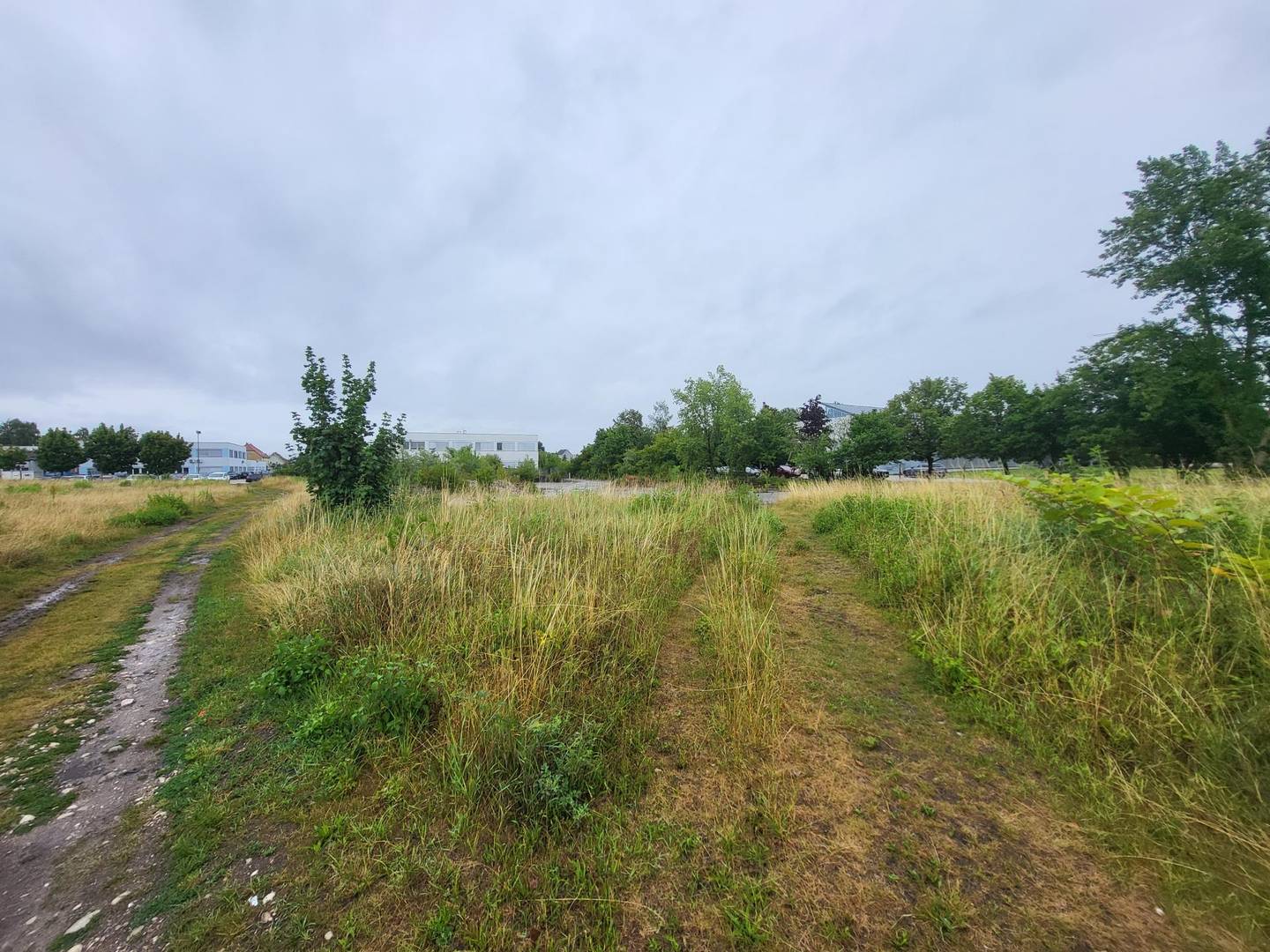 Gewerbegrundstück in Wels-Ost, B1-Nähe, 10.545 m², Fläche bis 6.300 m²