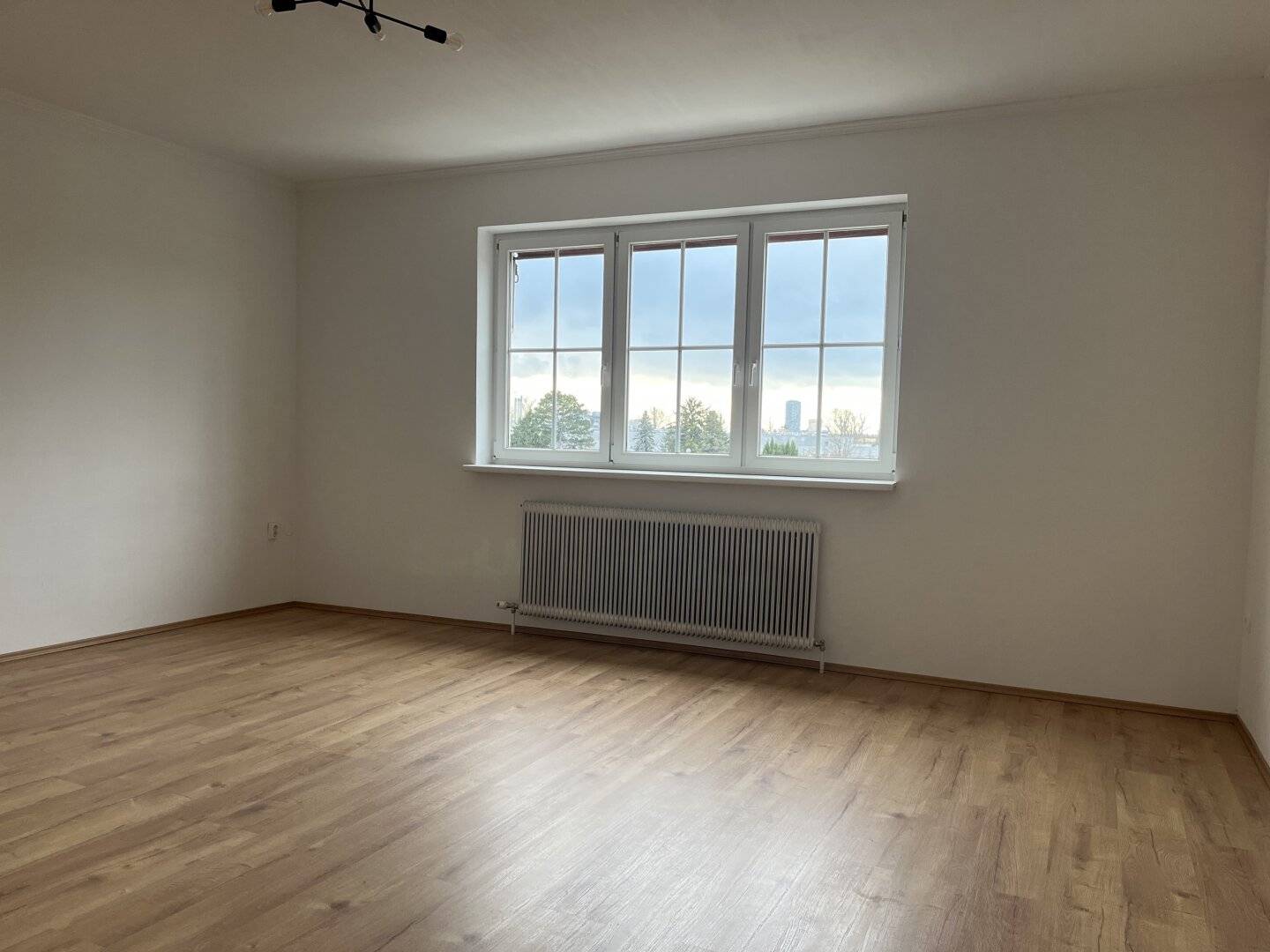 Sunny apartment near the Old Danube in Vienna