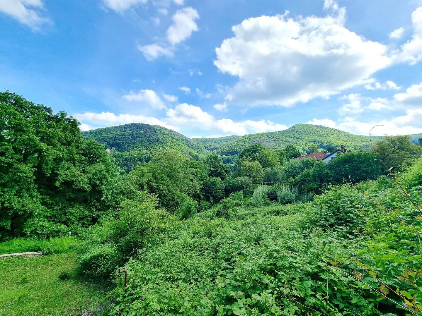 Rarity in top location building plot with distant view in Kaltenleutgeben