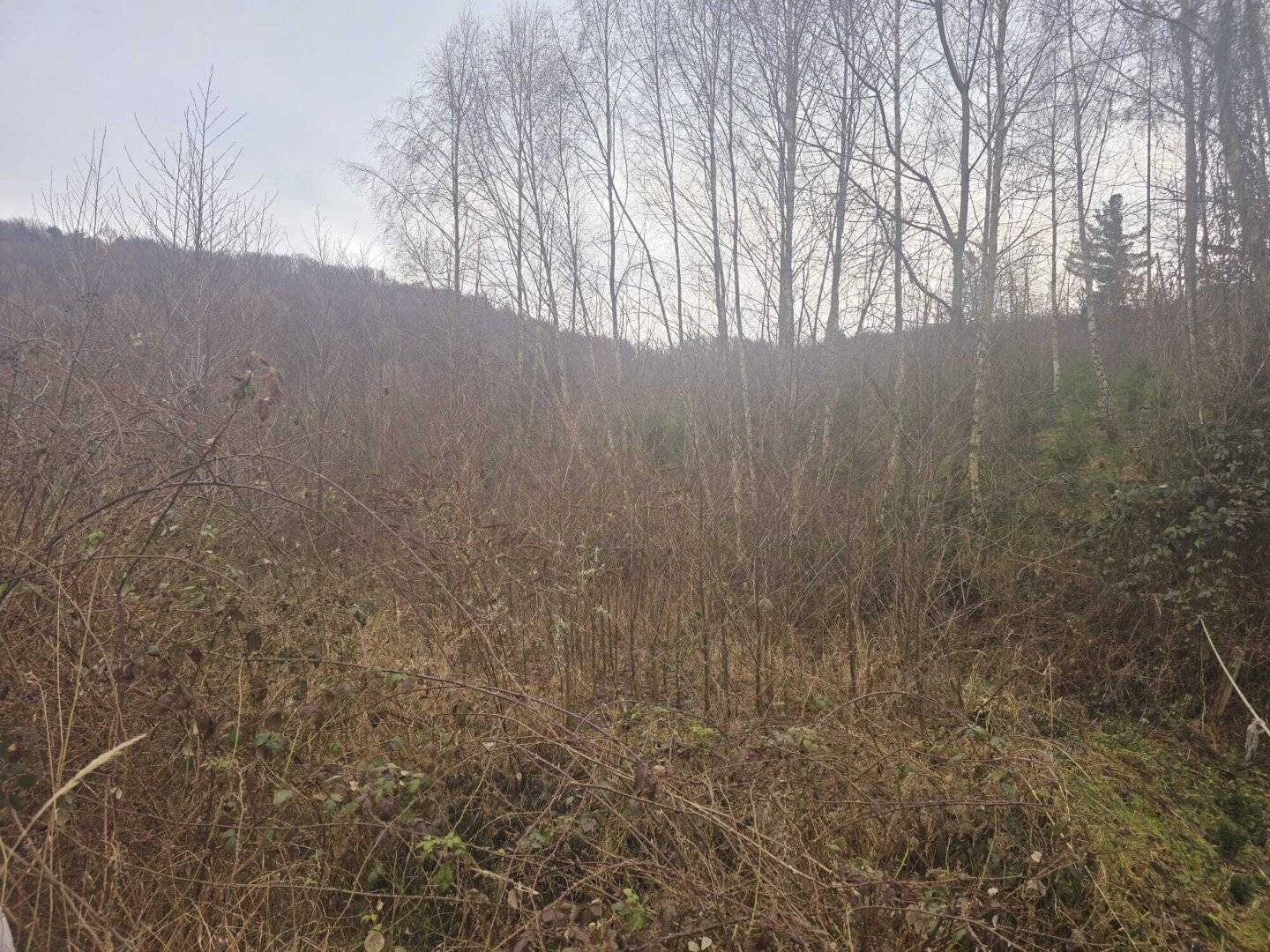 Baugrundstück in Grünlage mit Panoramablick
