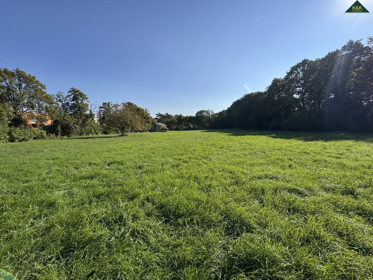 GROSSES GRÜNLAND GRUNDSTÜCK MIT BESTANDSHAUS - WIDMUNG PARK