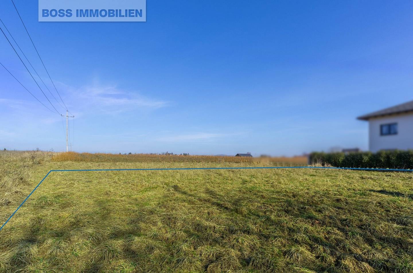 Grund zum Träumen | 705 m² | ruhig, flexibel, ohne Bauzwang