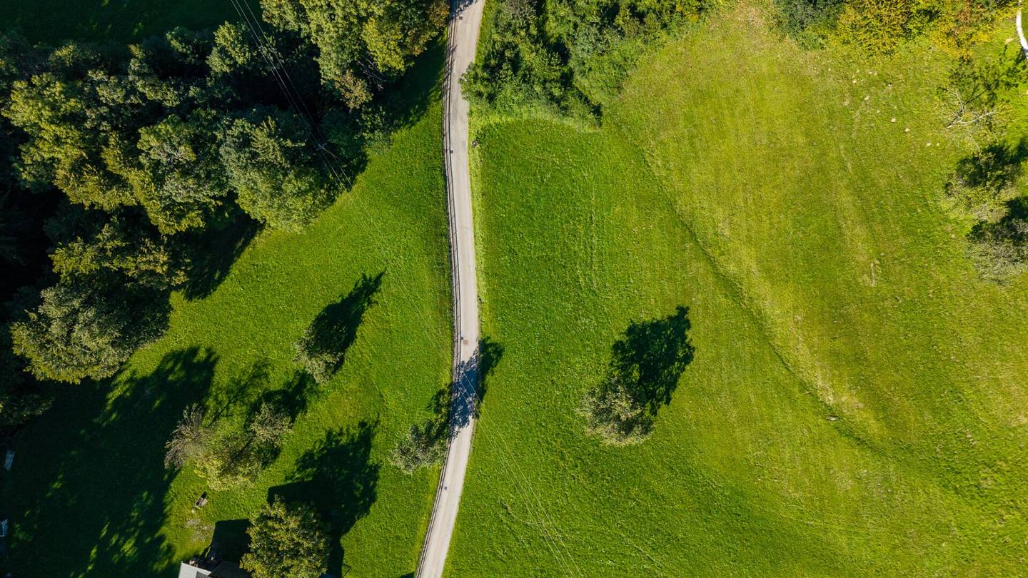 Dreamlike plot in the green in Zwischenwasser with about 550 m² plot area