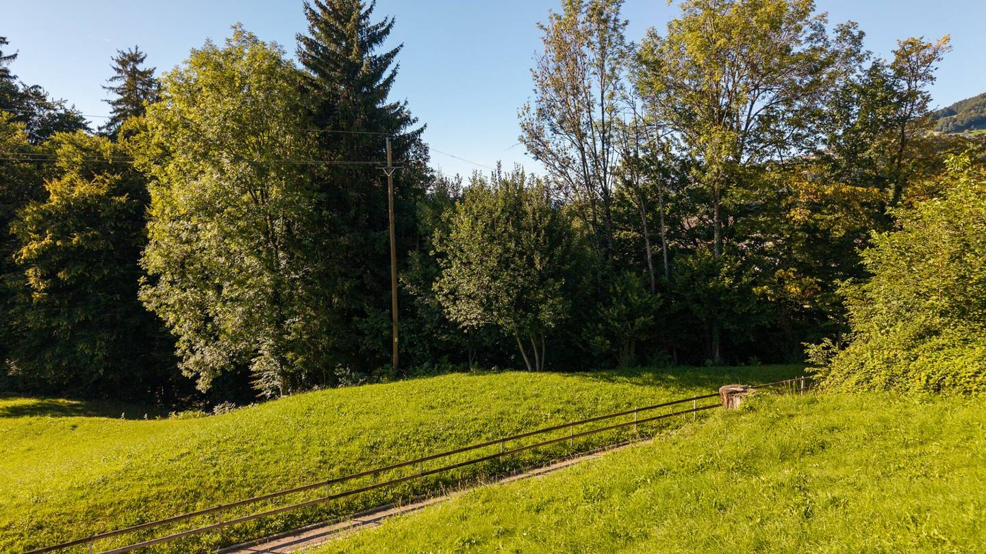 Dreamlike plot in the green in Zwischenwasser with about 550 m² plot area