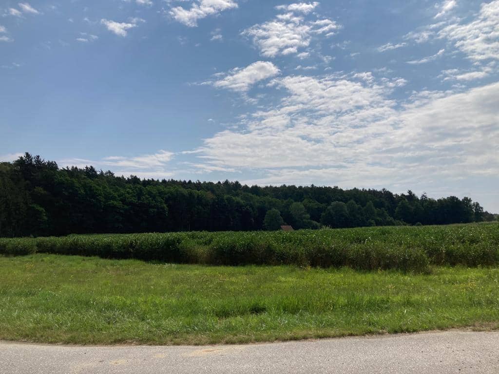 Grundstück in Bad Blumau – 980 m², Baugrund mit Aussicht, Therme-Nähe