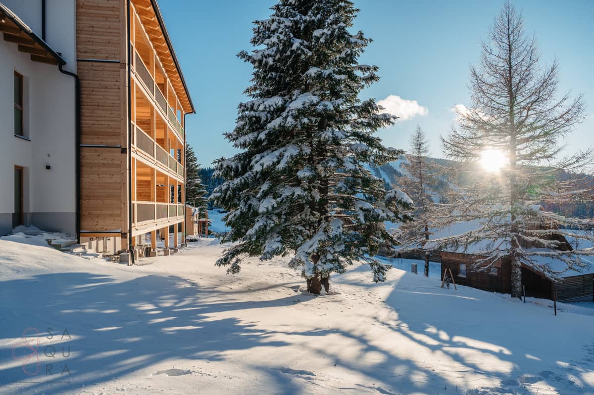 Apartment Weinebene near ski lift sunny terrace