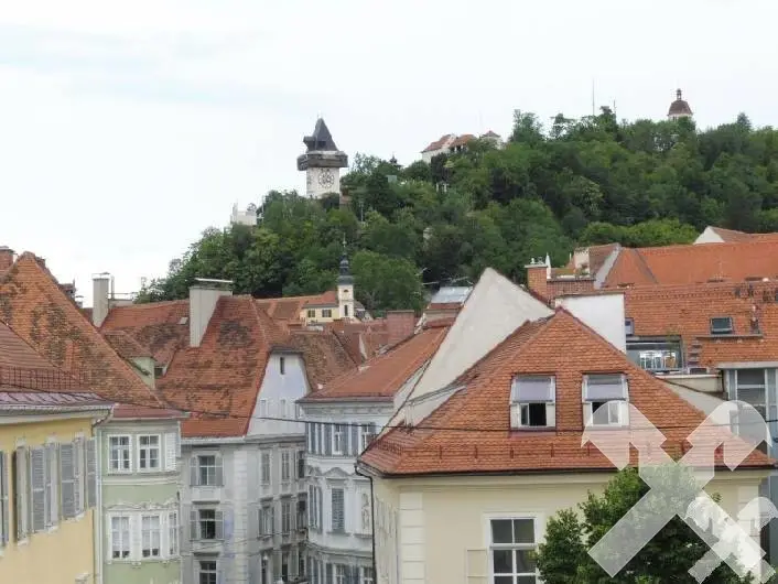 Pure inner-city feeling Newly renovated, charming city apartments