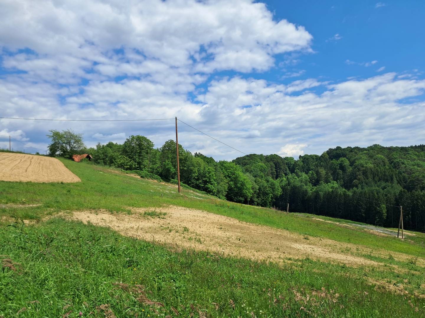 Grundstücke mit Wald und Freifläche in Maxendorfberg, Kirchbach in Steiermark