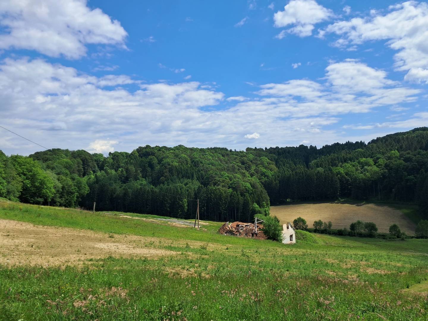 Grundstücke mit Wald und Freifläche in Maxendorfberg, Kirchbach in Steiermark