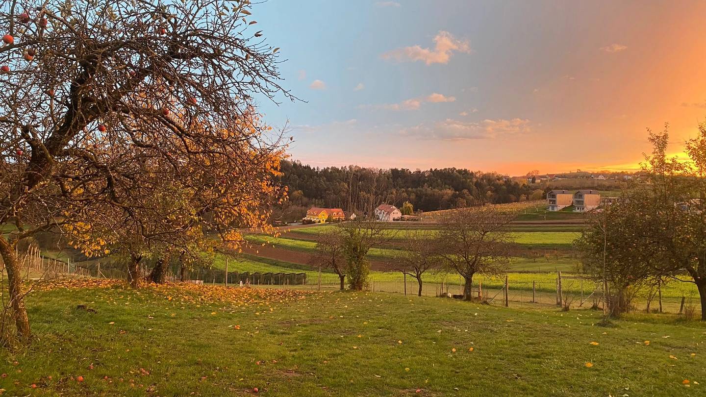 Renovierter Vierkanthof mit 260 m² Wohnfläche und 10.000 m² Garten in Neudauberg