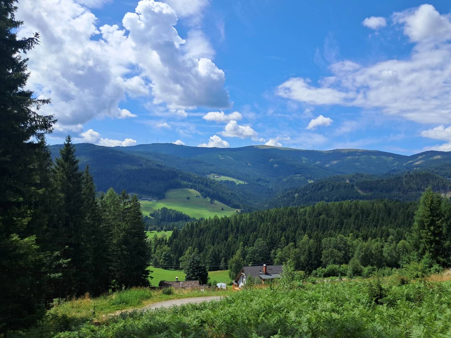 Grundstücke mit Wald auf der Hebalm in Deutschlandsberg