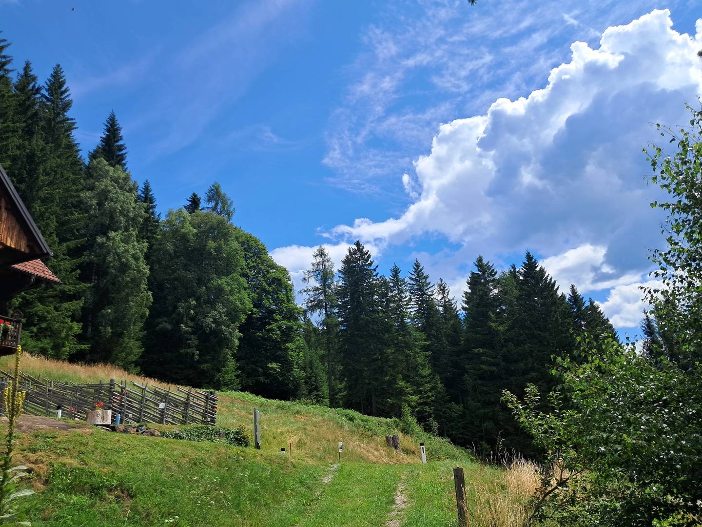 Grundstücke mit Wald auf der Hebalm in Deutschlandsberg