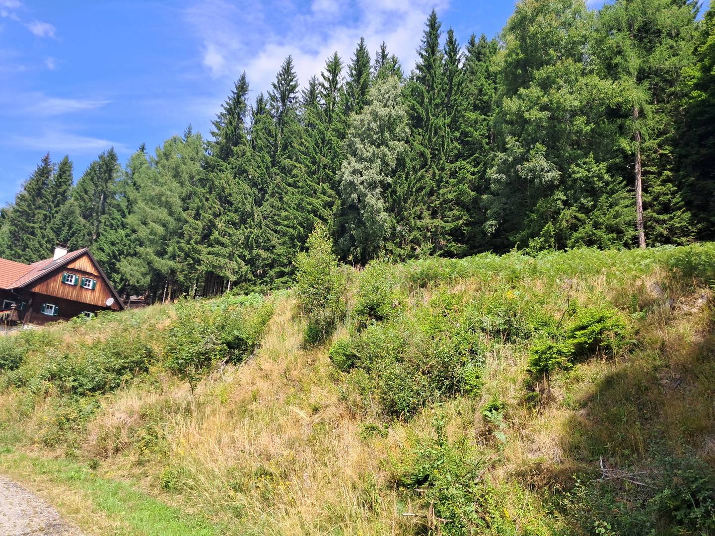 Grundstücke mit Wald auf der Hebalm in Deutschlandsberg