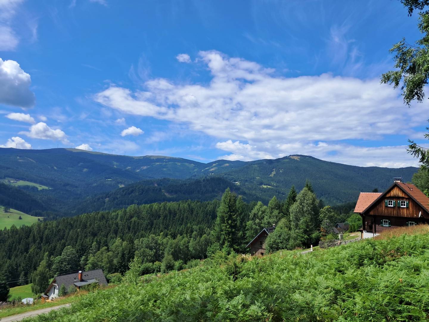 Grundstücke mit Wald auf der Hebalm in Deutschlandsberg