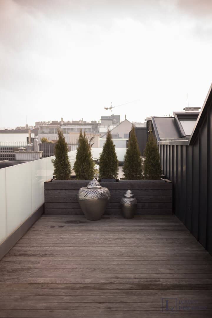 Exclusive Penthouse with Large Terrace near Strudlhofstiege
