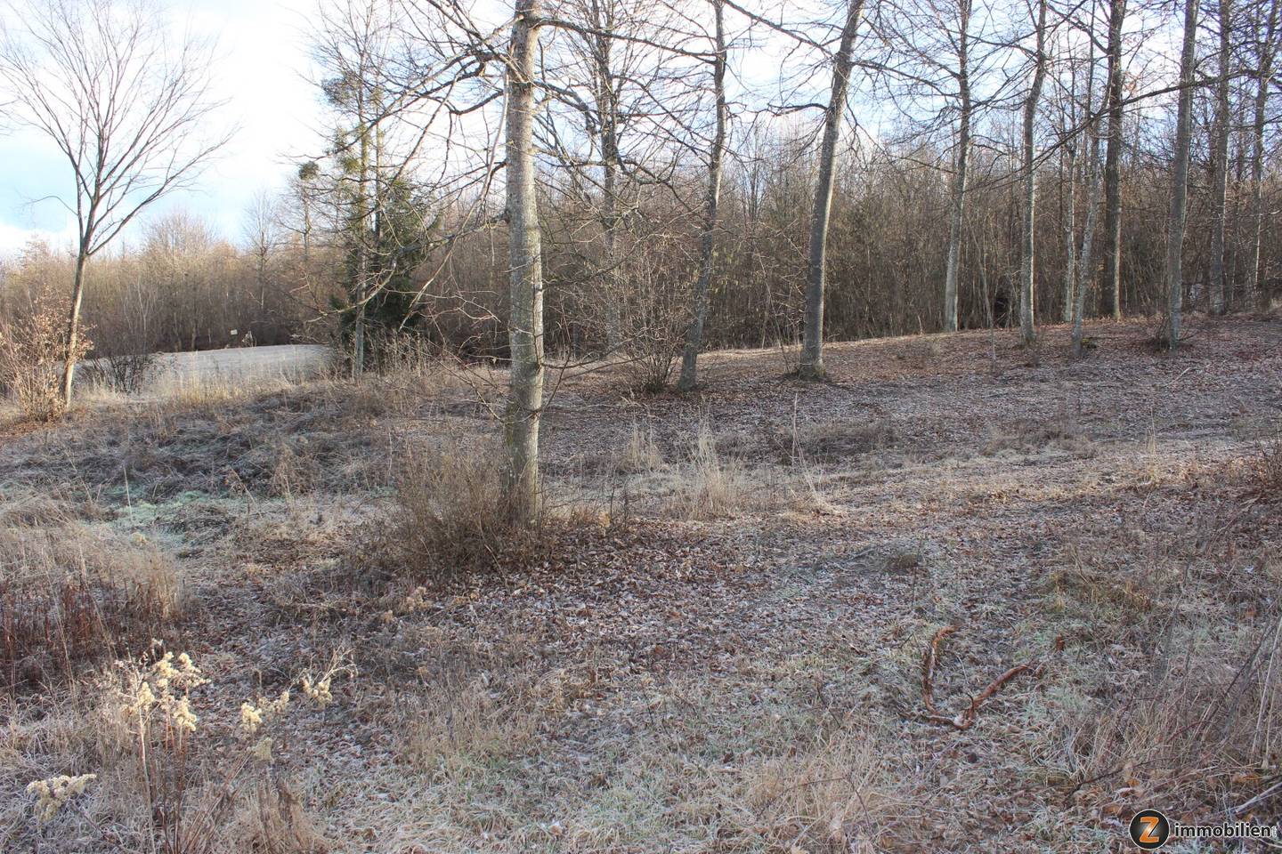 Bad Tatzmannsdorf: Großes Baugrundstück in Ruhelage mit Südwest-Ausrichtung