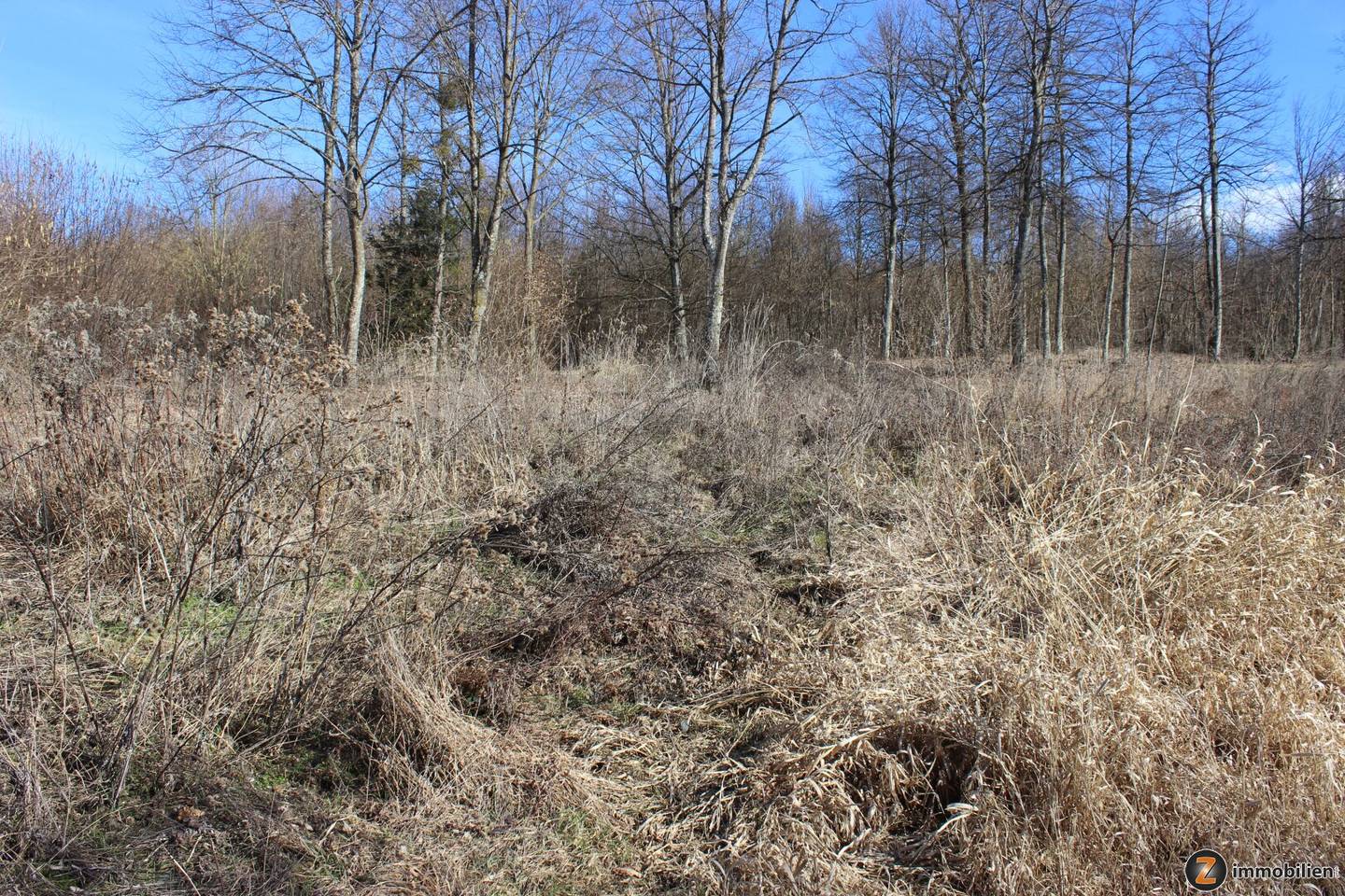 Bad Tatzmannsdorf: Großes Baugrundstück in Ruhelage mit Südwest-Ausrichtung