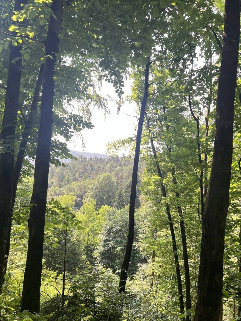 Historische Burgruine in ausgezeichneter Lage