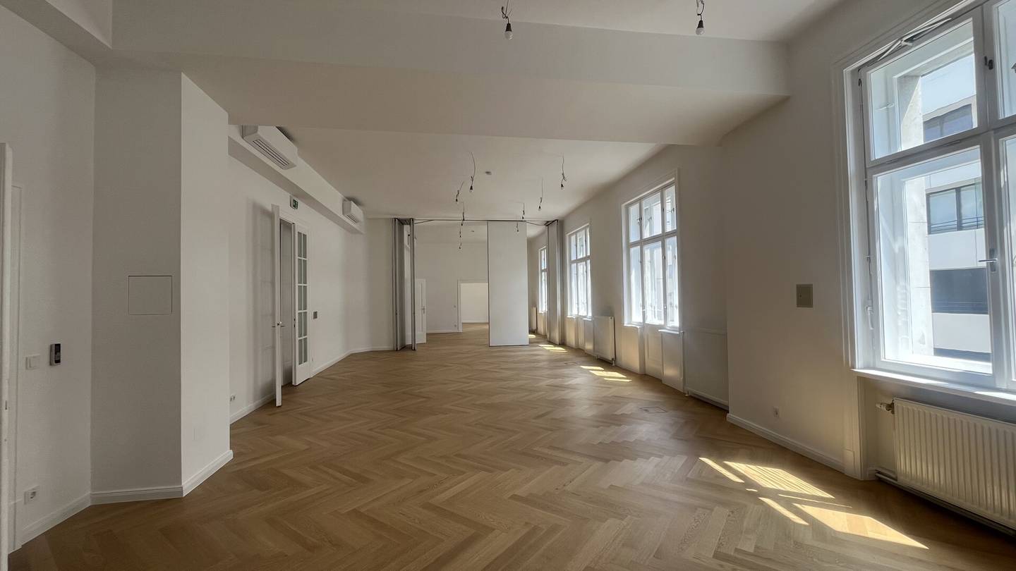 Repräsentatives Büro im wunderschönen Palais Fanto !!