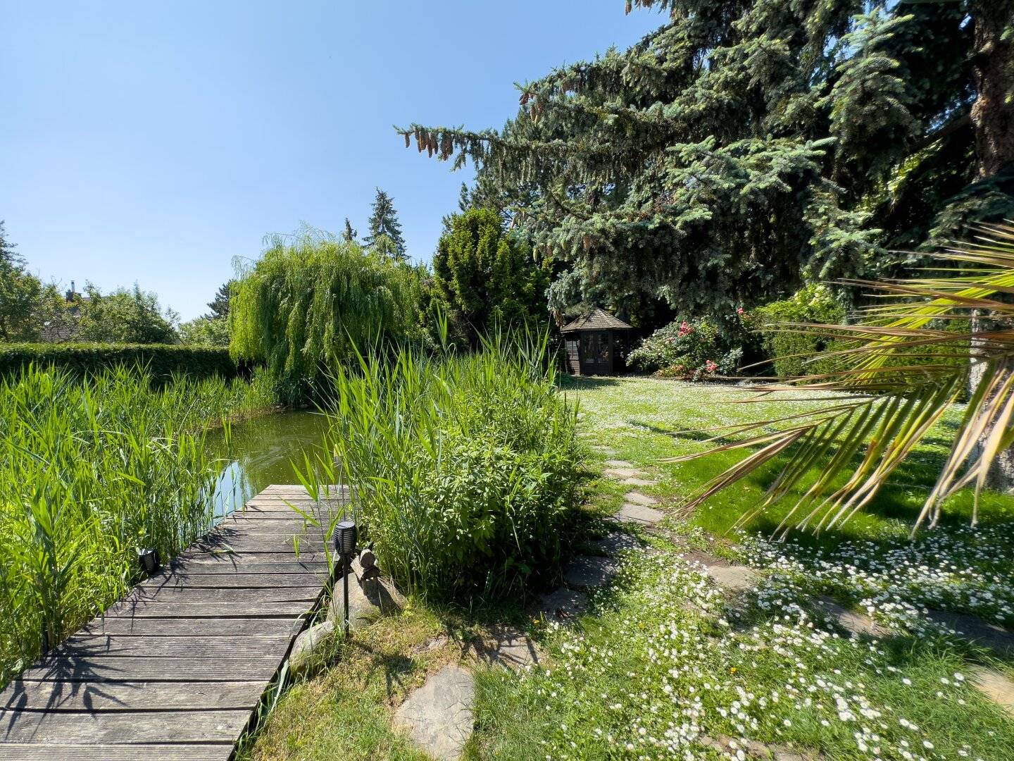 Stylish timeless single-family home | 147 m² | 1000 m² plot with swimming pond | 1220 Vienna