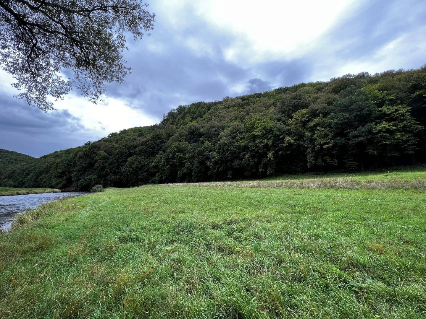 Großzügiges Jagdrevier: 390 ha Forstbesitz & 460 ha Jagdfläche in Merkersdorf