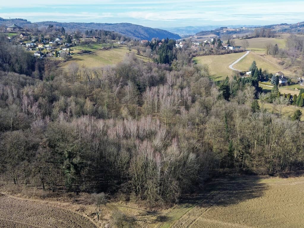 Ca. 10 Ha. Exklusive landwirtschaftliche Fläche mit Wald in Leonding Zaubertal