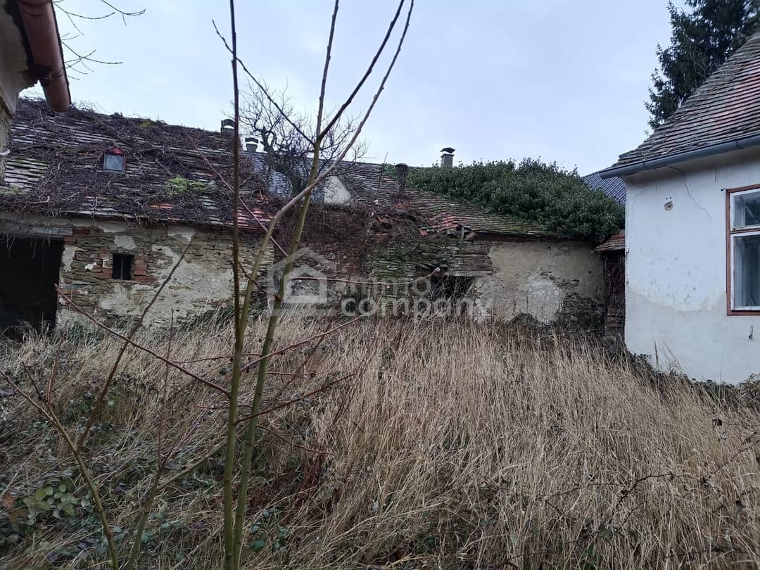 Immobilienbild 3