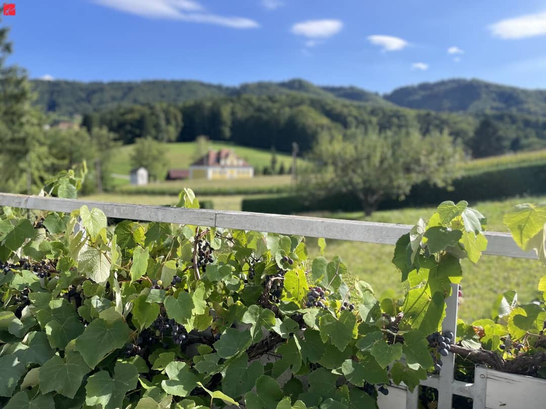 Immobilienbild 3
