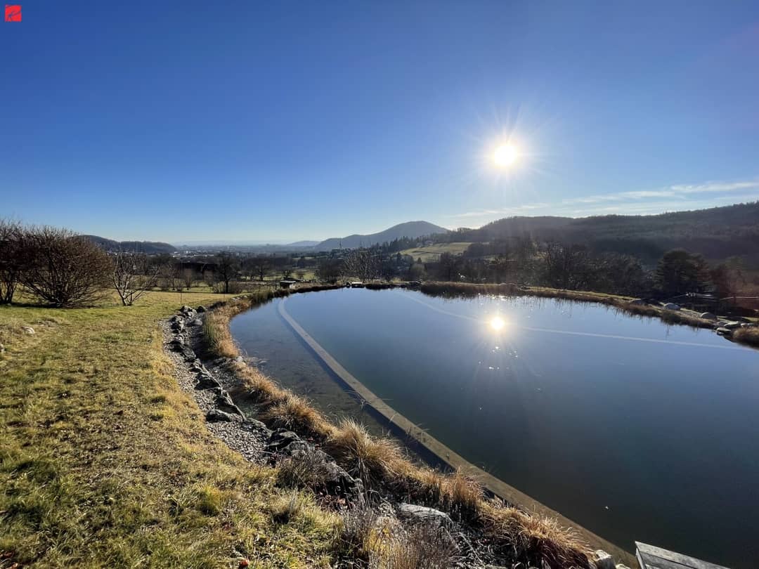 Stylish luxury villa with panoramic views in Graz-St. Veit