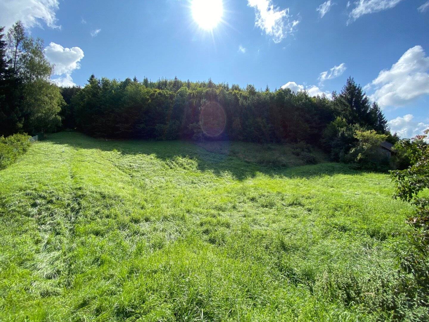 Baugrundstück 3469 m² in Wolfsgraben