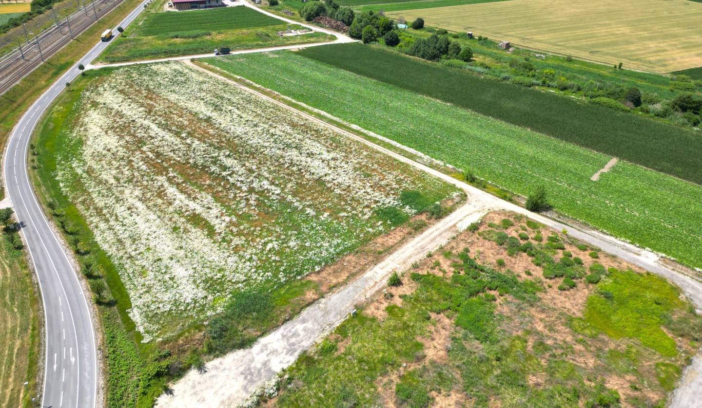 Commercial land Pixendorf