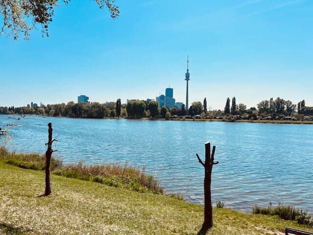 Neubau Dachgeschosswohnung Blick zur Alten Donau