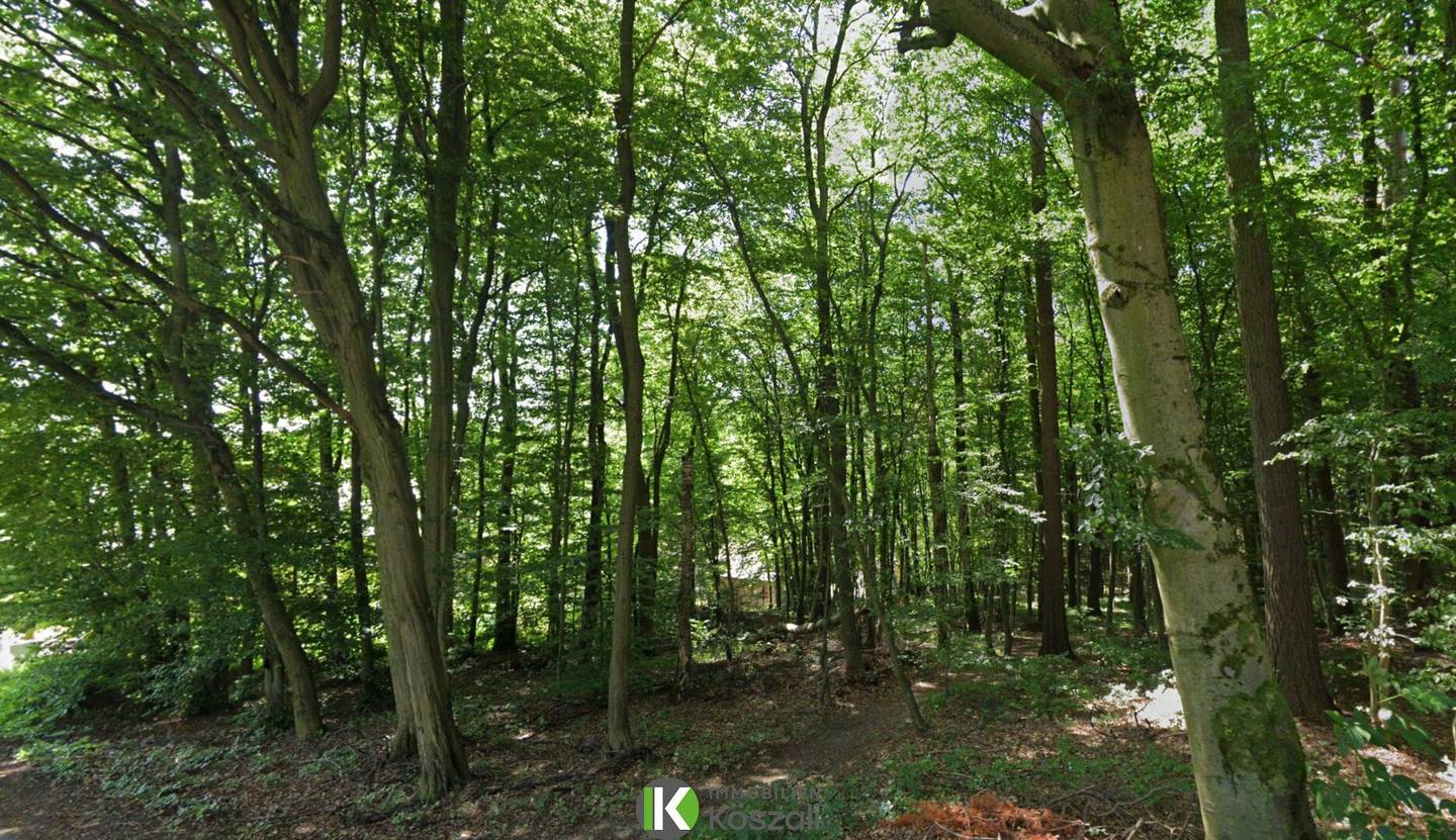 Grundstück Riederberg, 4240 m²