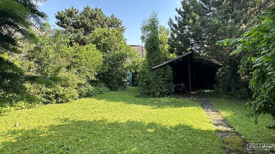 Immobilienbild 2