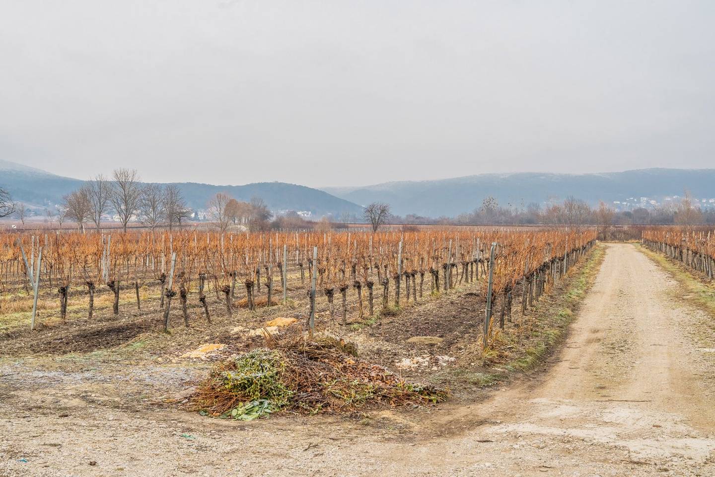 Gastgewerbe mit Haus in Sooß