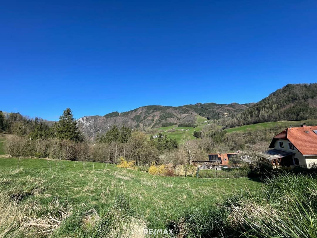 Baugrund mit Aussicht in Weyer