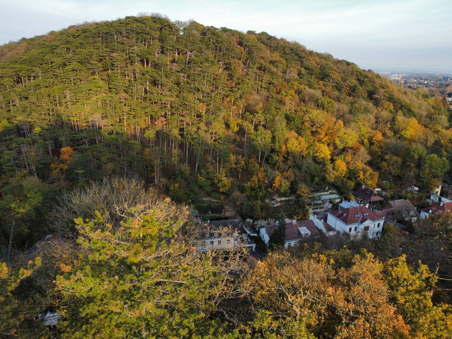 Unique Hunting Lodge on 1,329 m² Private Land next to Lainzer Tiergarten, Vienna
