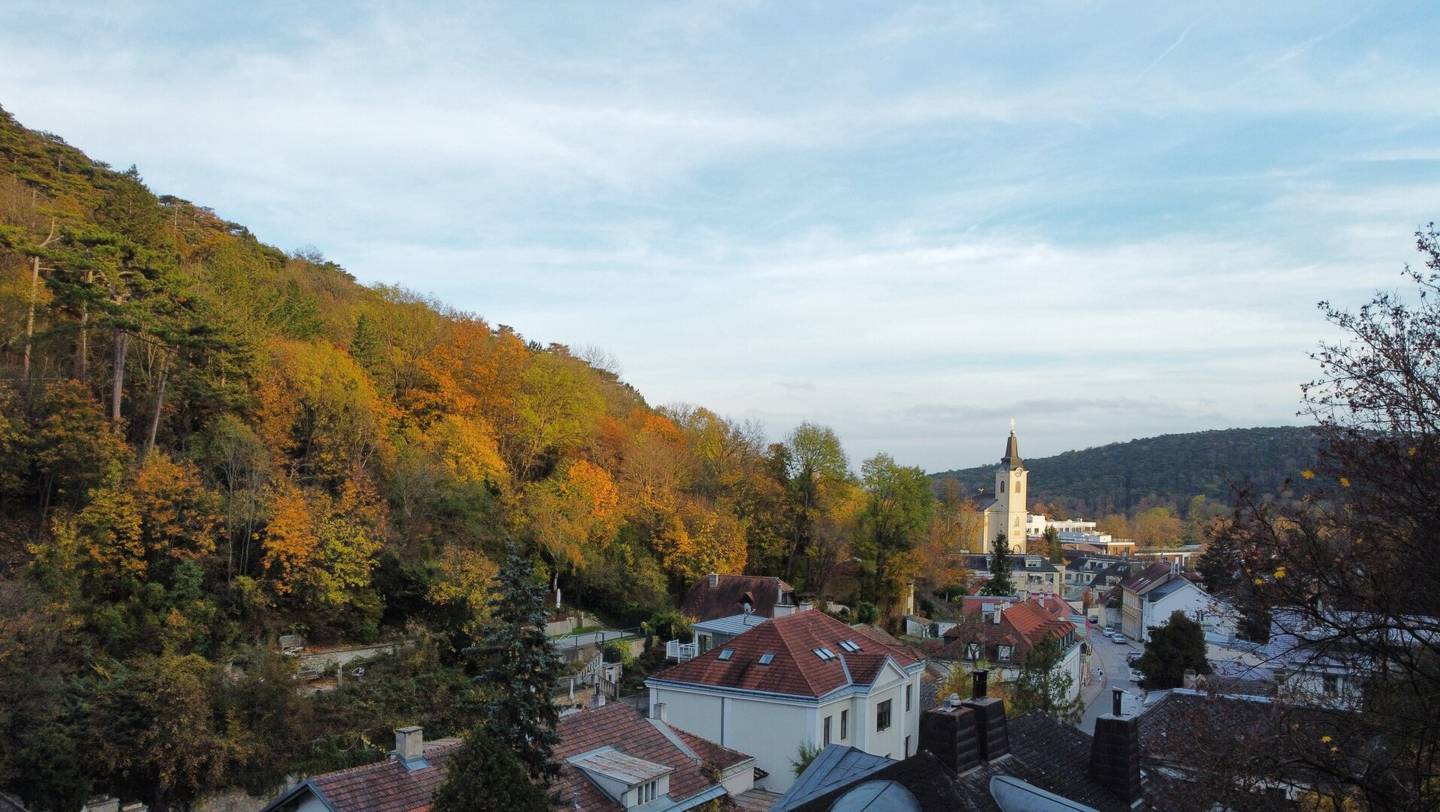 Unique Hunting Lodge on 1,329 m² Private Land next to Lainzer Tiergarten, Vienna