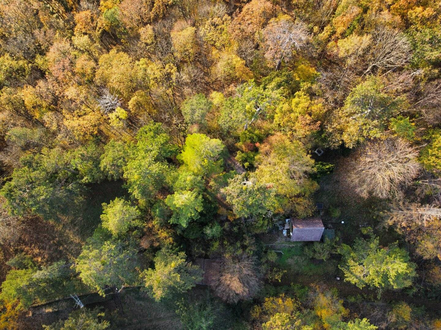Unique Hunting Lodge on 1,329 m² Private Land next to Lainzer Tiergarten, Vienna
