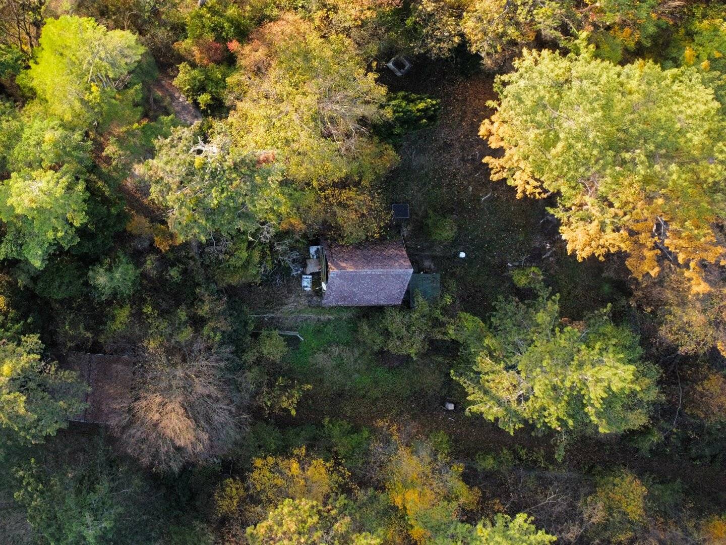 Unique Hunting Lodge on 1,329 m² Private Land next to Lainzer Tiergarten, Vienna