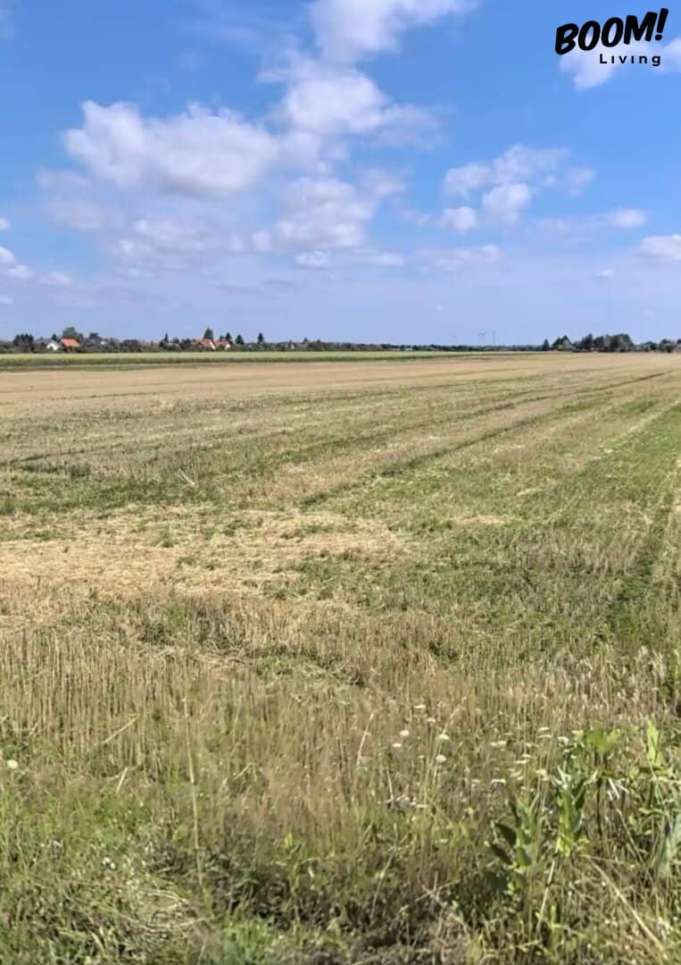 Baugrund 548m² Gänserndorf Süd