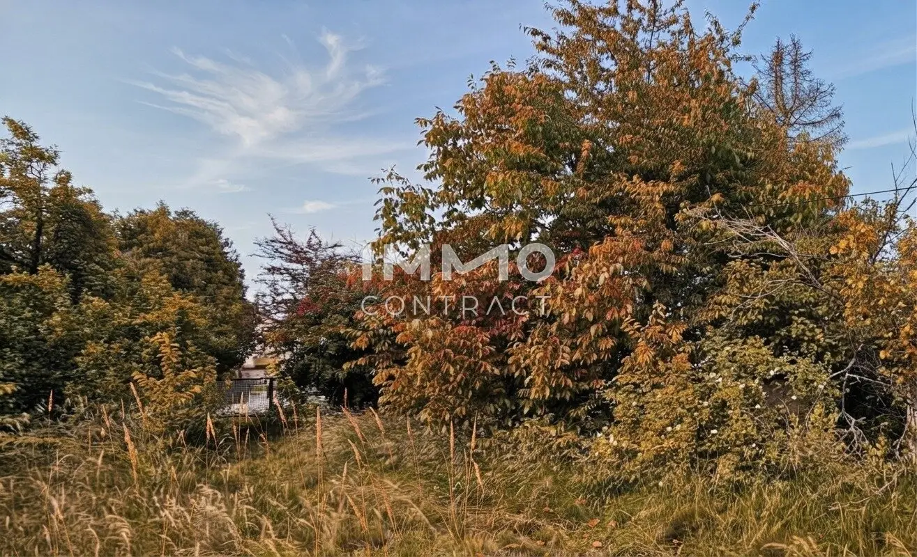 Großes Baugrundstück in Felixdorf