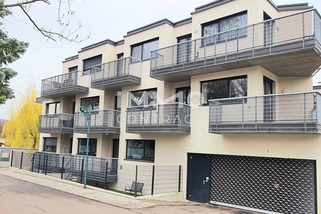 Apartment investor property bright terrace