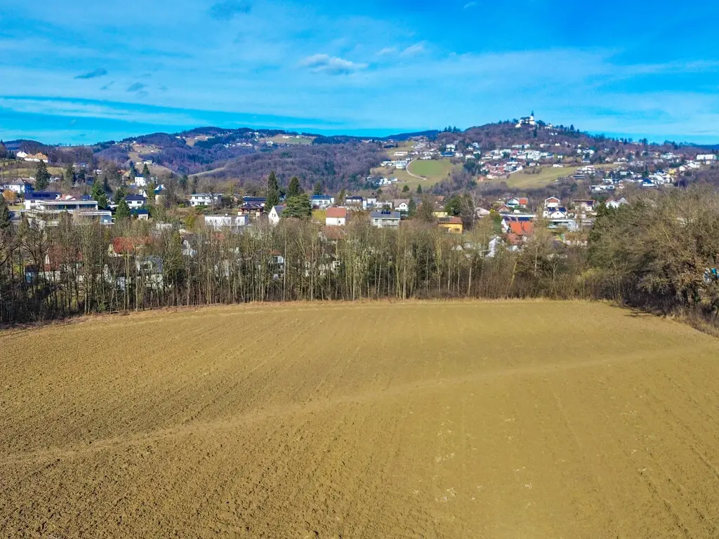 10 ha Agricultural Land Leonding