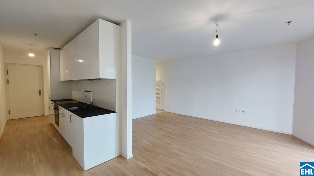 Wohnung Sonnwendviertel Dachterrasse mit Blick