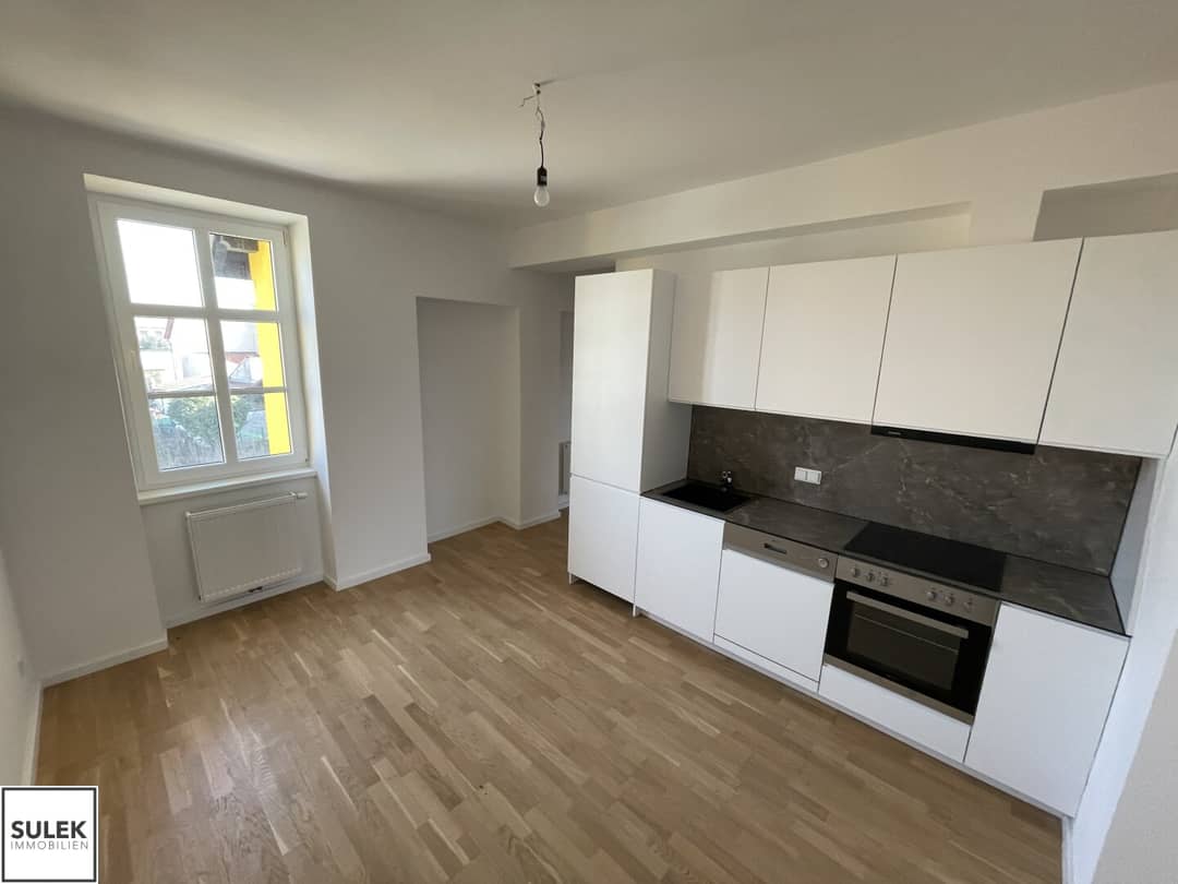Renovated apartment near station