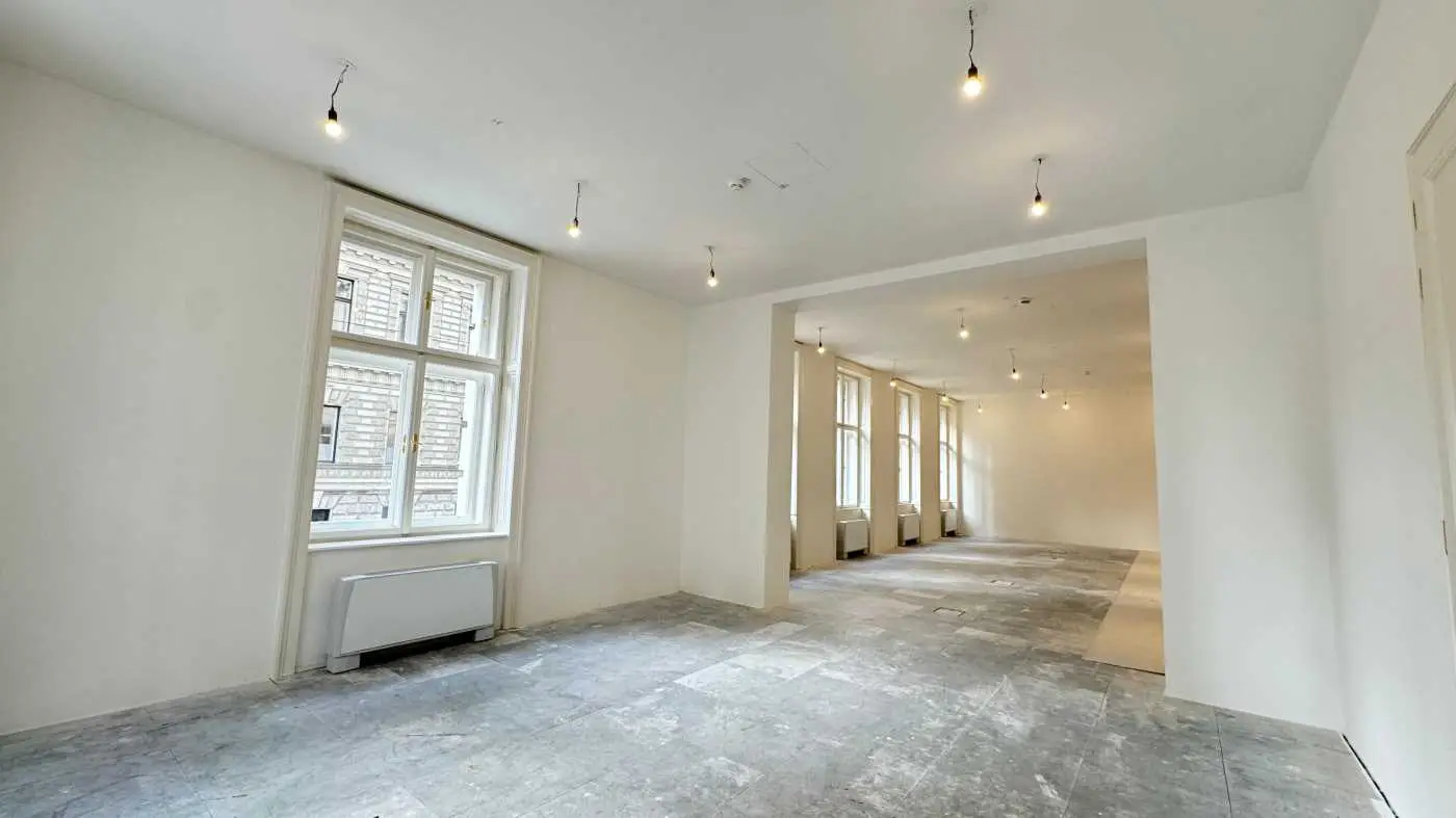 Office Space Historic Bldg Vienna 1010