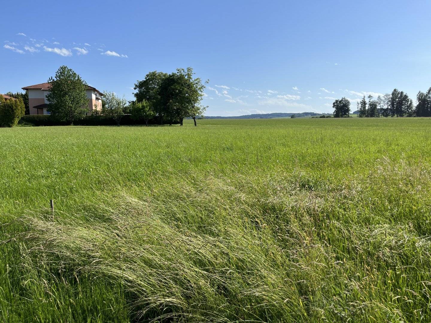 Sonnige Baugrundstücke in Pramet