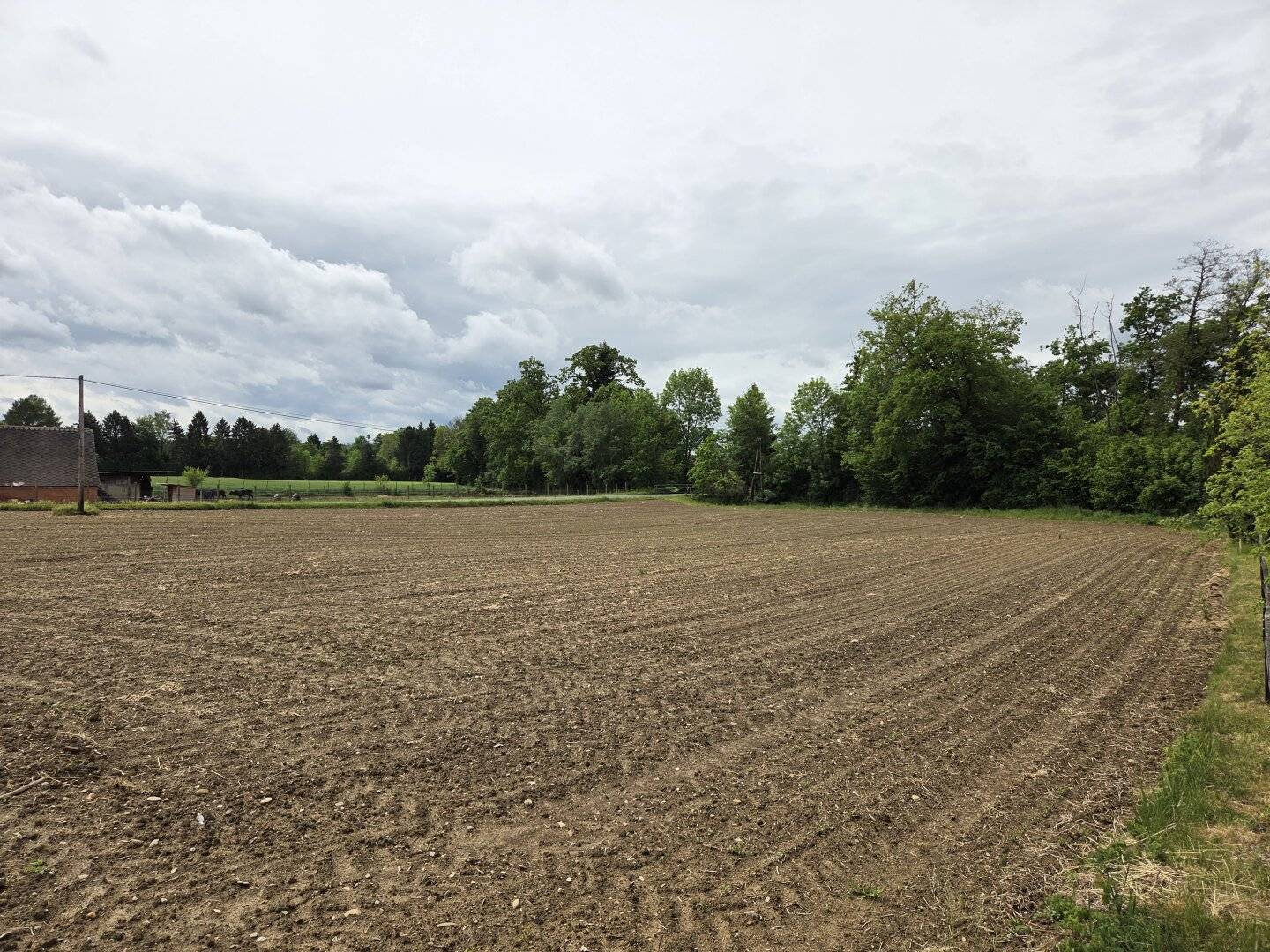 Baugrund 2.739m² in Deutsch Goritz