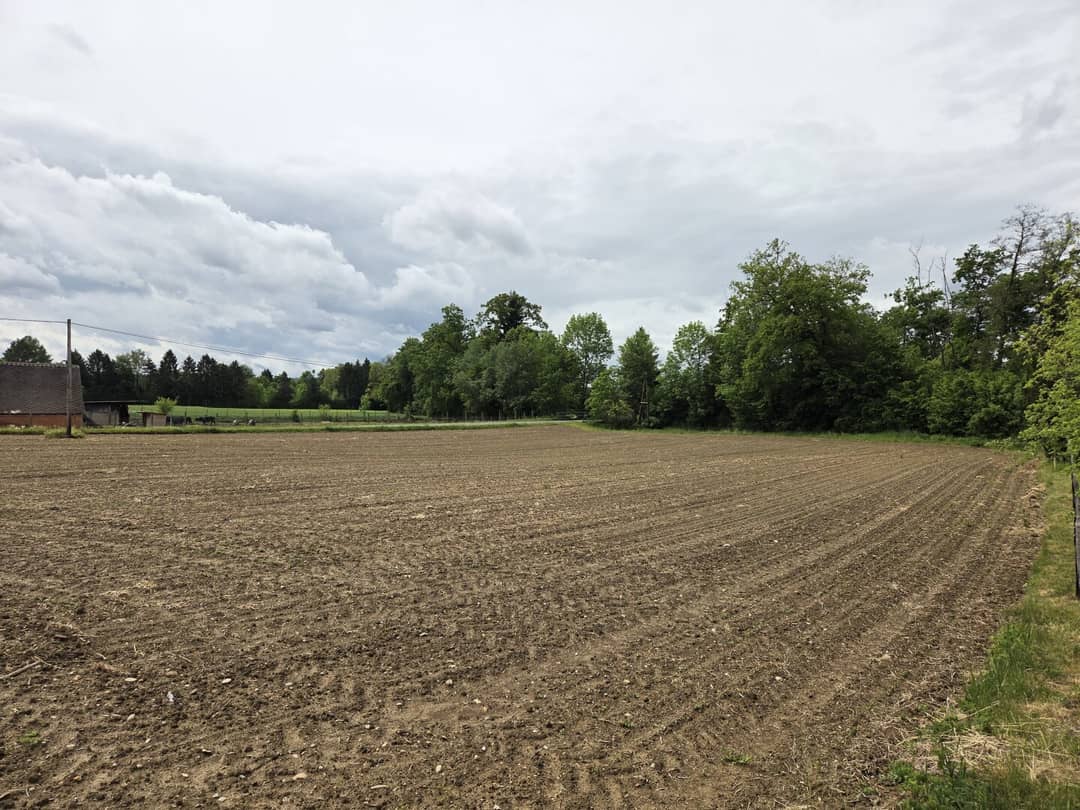 Building land 2,739m² in Deutsch Goritz